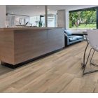 Forest sorozat 20x120