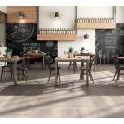 Forest sorozat 20x120